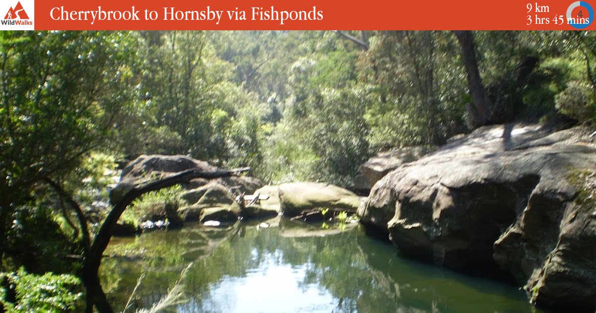 Cherrybrook to Hornsby via Fishponds walking track